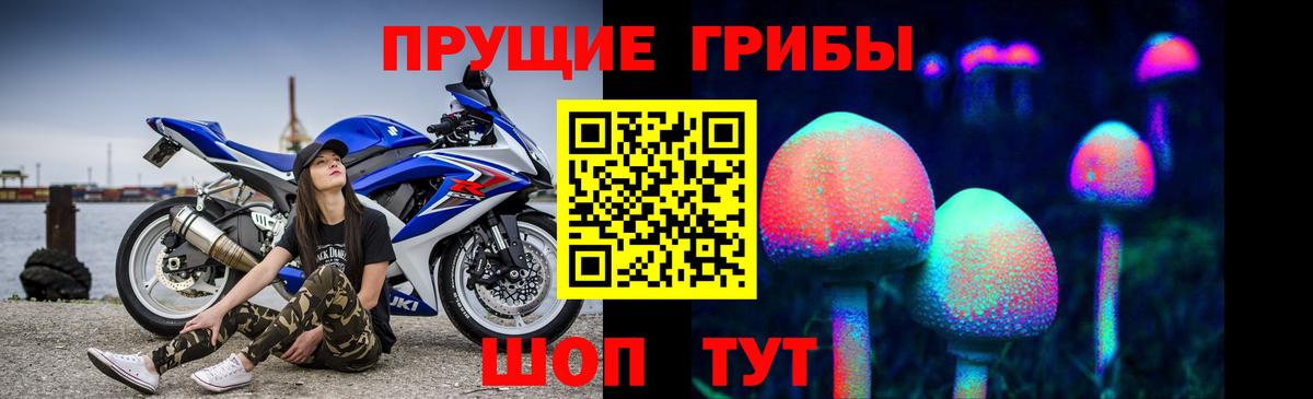 Нерюнгри  Галлюциногенные грибы Magic Shrooms  Вход с VPN 
